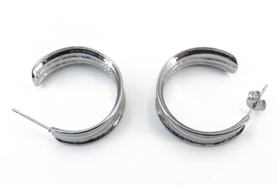 Picture of Women's steel curved earrings with a design